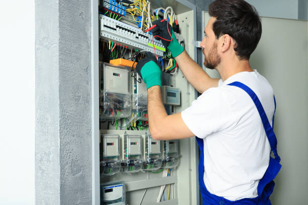 Best Local Electrician Companies  in Mount Jackson, VA